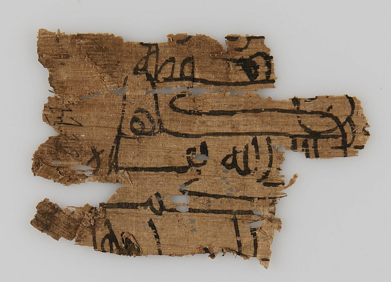 Dix Fragments De Papyrus Louvre Collections