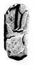 Stèle votive à Saturne (fragment)