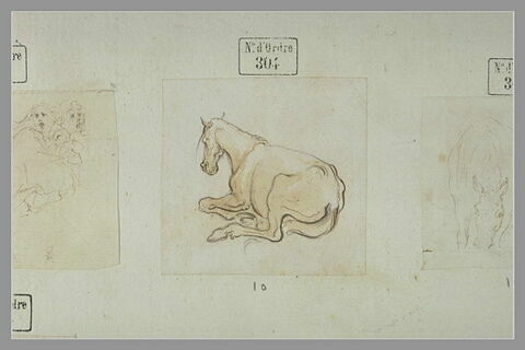Un cheval couché, vu de dos, tourné vers la gauche, image 1/1