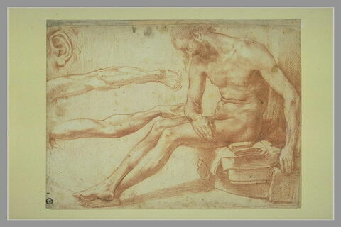 Etude pour un Christ mort, études d'une oreille et de deux bras gauches, image 1/1