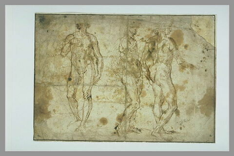 Trois hommes nus, debout, image 2/2