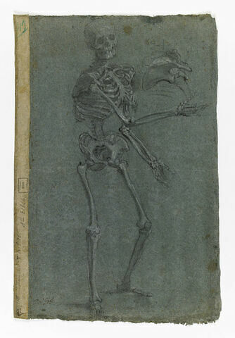 Squelette debout, étendant les bras, et détail de la cage thoracique