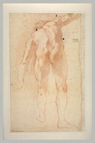Etude d'homme nu, debout vu de dos, penché en avant, image 1/1