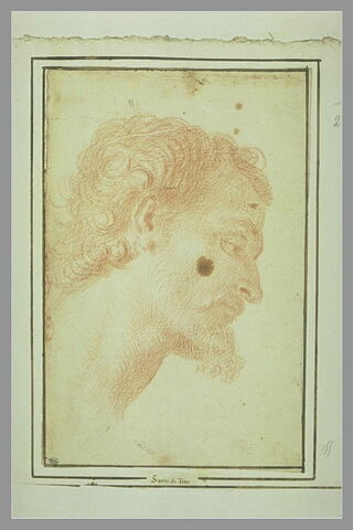 Tête d'homme barbu, de profil à droite, regardant en bas