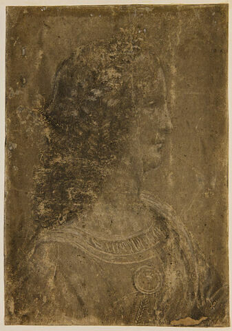 Portrait de jeune fille (?) dit de Francesco Melzi, en buste, de profil vers la droite