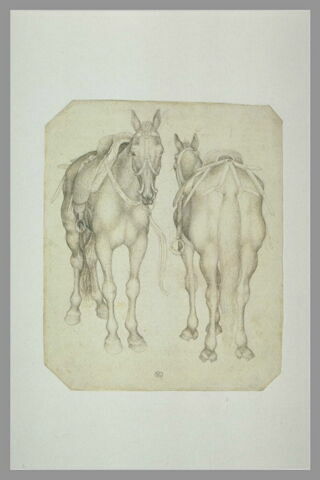 Deux chevaux harnachés, vu de trois quarts, l'un de face et l'autre de dos