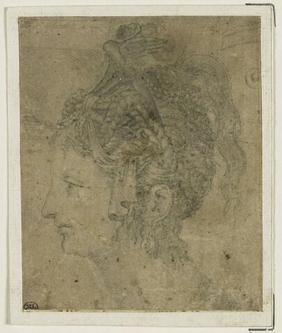 Tête de femme avec coiffure maniérée, vue de profil vers la gauche, image 1/2