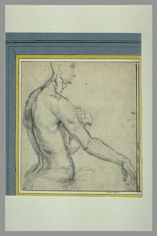 Buste d'homme nu, vu de profil, tourné vers la droite, image 1/1