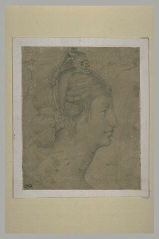 Tête de femme avec coiffure maniérée, vue de profil vers la droite, image 2/2