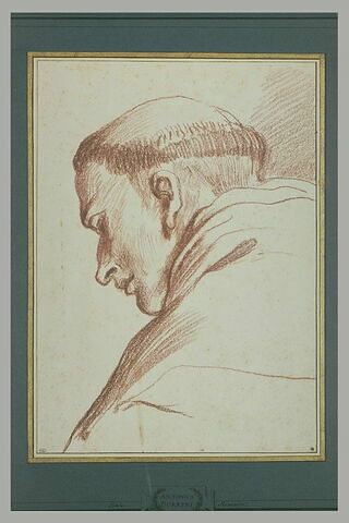 Tête de moine, de profil vers la gauche, image 3/3