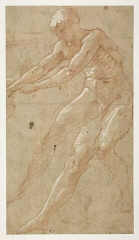 Etude d'homme nu, debout, tourné vers la gauche, les bras et jambes tendus, image 1/2