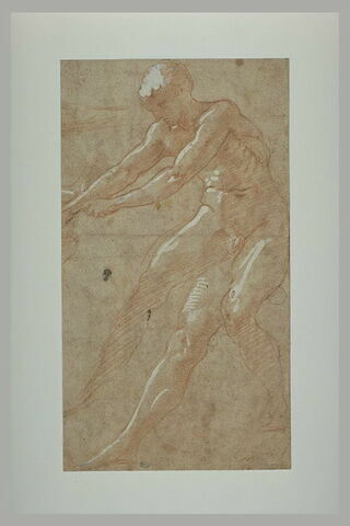 Etude d'homme nu, debout, tourné vers la gauche, les bras et jambes tendus, image 2/2