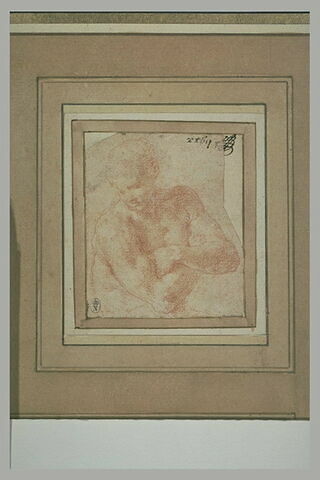 Homme nu, en buste, les bras croisés, la tête de trois quarts vers la gauche, image 1/1
