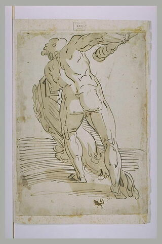 Hercule, vu de dos, image 2/2