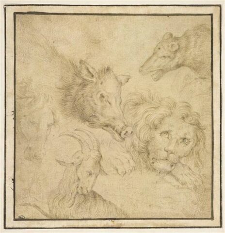 Etude de cinq têtes d'animaux : lion, bouc, cheval, sanglier, ours