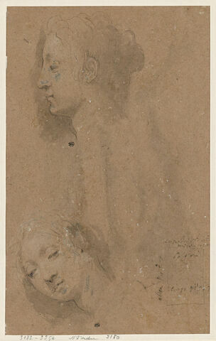Deux têtes de femmes, l'une de profil, l'autre de trois quarts, image 1/2