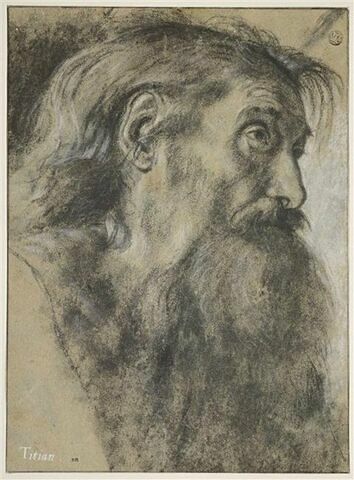 Tête de vieillard, de profil, avec une longue barbe noire, image 1/2