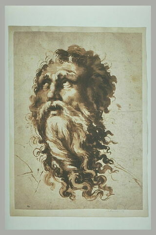Tête d'homme barbu, regardant vers le haut : saint Jean l'Evangéliste, image 2/3