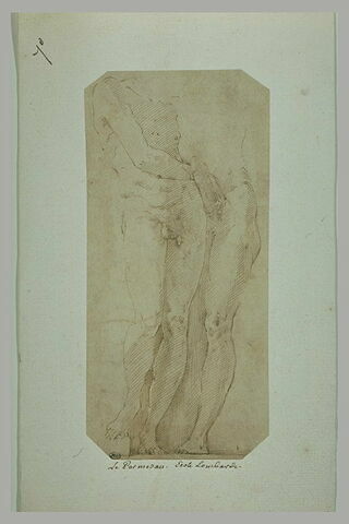 Deux hommes nus, l'un tenant le phallus en érection de l'autre, image 2/2