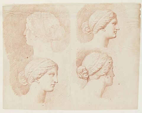 Quatre études de la tête de la Vénus du Belvédère, vue de profil à droite et de trois quarts dos, image 1/2
