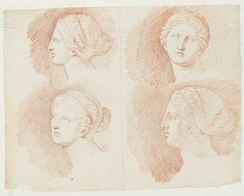 Quatre études de la tête de la Vénus du Belvédère, vue de profil à gauche, de face et de trois quarts face, image 1/2