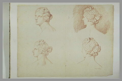 Quatre études de la tête de la Vénus Médicis, de profil à gauche, de trois quarts face et de trois quarts dos, image 2/2