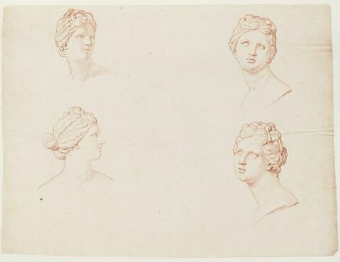 Quatre études de la tête de la Vénus Médicis, de trois quarts face, de face et de profil à droite