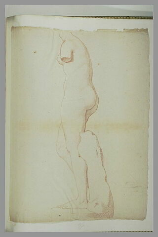 La Vénus Médicis, vue de profil à gauche, image 2/2