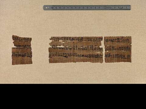 papyrus documentaire, image 4/6