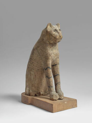 sarcophage de chat ; momie de chat