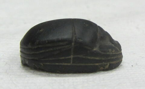 scarabée, image 2/7