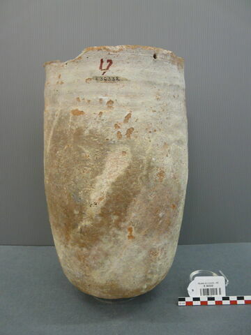 vase  ; sarcophage d'ibis  ; vase canope