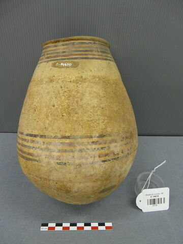 vase ; noix doum, image 1/1