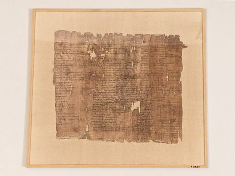 papyrus littéraire, image 2/6