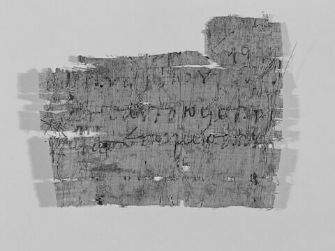 papyrus, image 2/4
