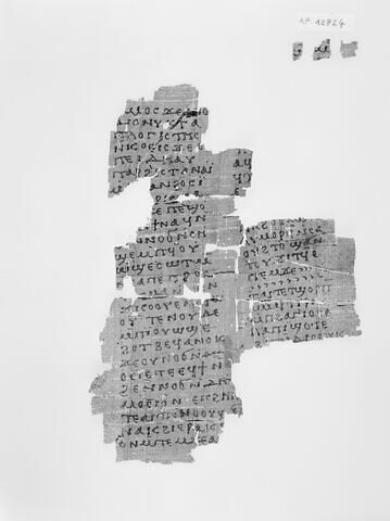 papyrus littéraire, image 6/6