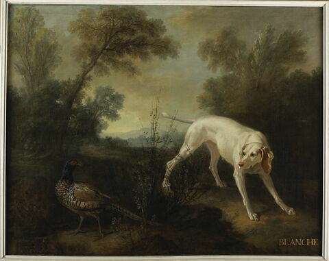 Blanche, chienne de la meute de Louis XV