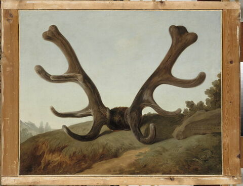 Tête d'un cerf attaqué par l'équipage du Roi au Bois Guérin, le 1er juin 1778, image 1/1