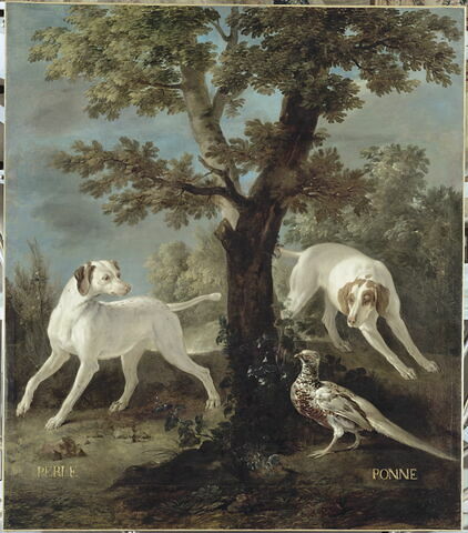 Perle et Ponne, chiennes de la meute de Louis XIV