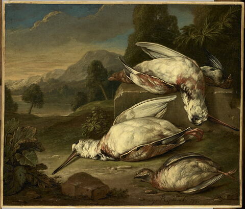 Gibier mort dans un paysage: deux bécasses blanches et deux autres oiseaux