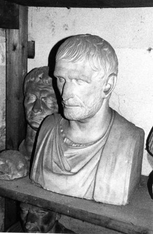 Brutus, image 1/1