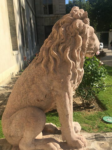 Lion, image 3/9