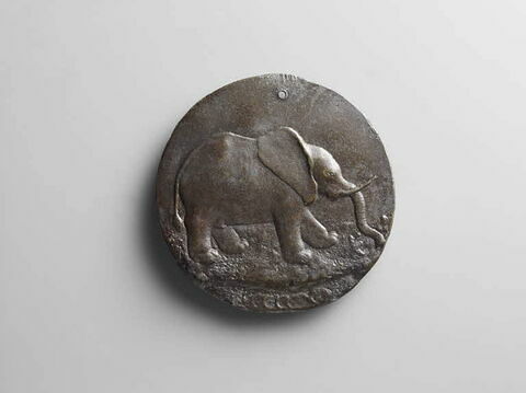 Médaille : Isotta degli Atti / un éléphant, image 2/3