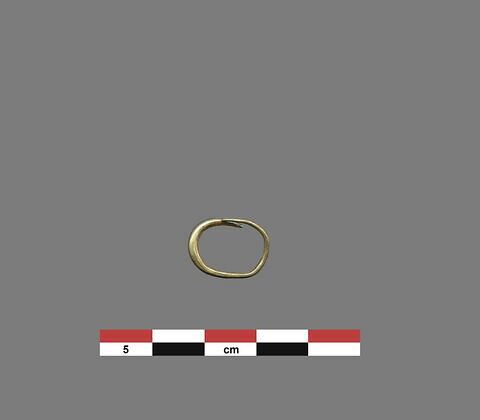 boucle d'oreille ; anneau, image 1/1