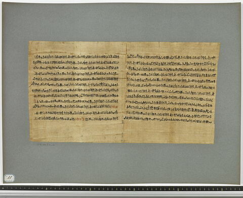 papyrus funéraire, image 11/15