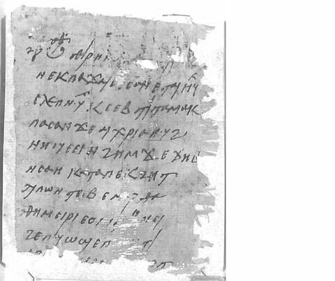 papyrus documentaire ; fragment, image 1/2
