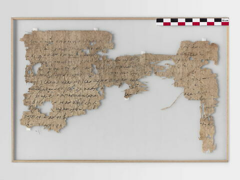 papyrus, image 1/3