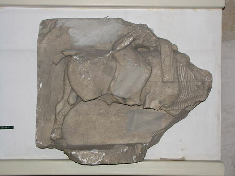 Tirage d'une métope fragmentaire représentant Europe enlevée par le taureau, image 1/1
