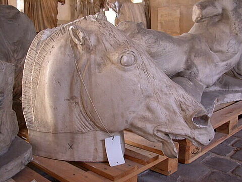 Tirage intégral d’une figure de cheval du fronton est du Parthénon, dit 