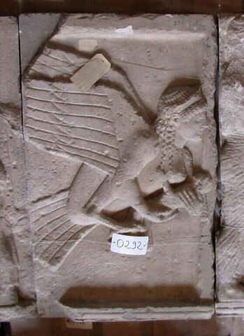 Tirage d’une plaque représentant une harpye